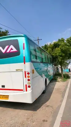 MVA Travels Bus-Side Image