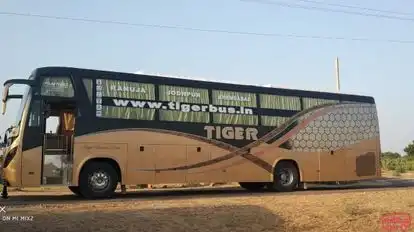 Tiger Travels Bus-Side Image