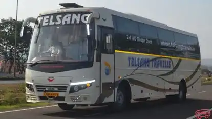 Telsang Travels Bus-Side Image