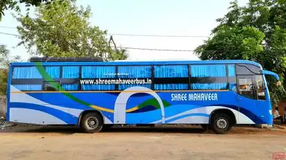 Shree Mahaveer Travels Jaipur Bus-Side Image