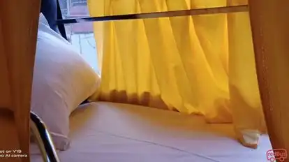 Tani Travels Bus-Seats Image