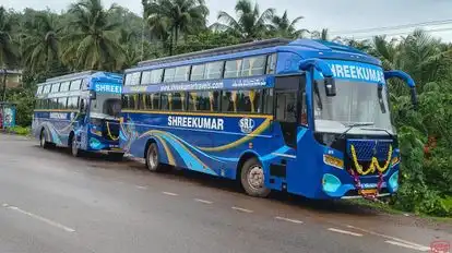 ShreeKumar Travels Bus-Side Image
