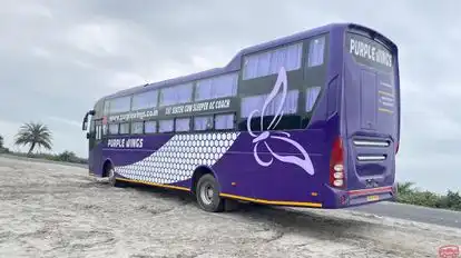 Purple Wings Coaches Bus-Side Image