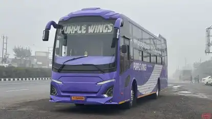 Purple Wings Coaches Bus-Front Image