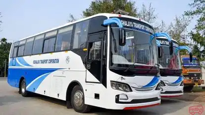 Meghalaya Transport Corporation(MTC) Bus-Side Image