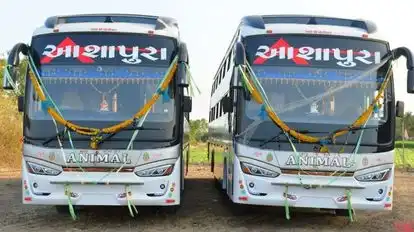 Ashapura Travels Bus-Front Image