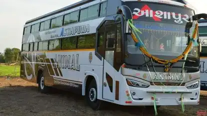 Ashapura Travels Bus-Side Image