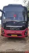 KN Nehra Travels Bus-Front Image