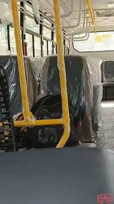 Alok Travels Bus-Seats Image