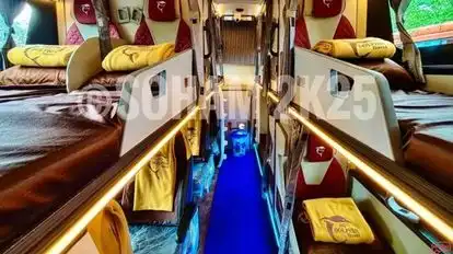 Jio Dolphin Travels Bus-Seats layout Image