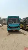 Pinky BUS Service Bus-Front Image