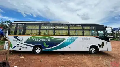 Paradise Tours N Travels Bus-Side Image