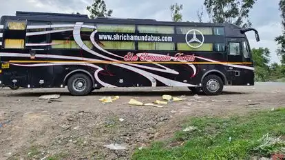 Rohit Travels Bus-Side Image