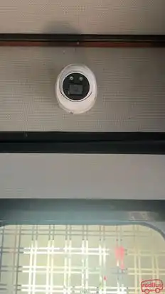 Bluecity Bus Bus-Amenities Image