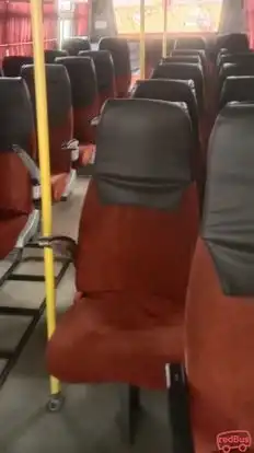 Shree Momaikrupa Travels Bus-Seats Image