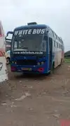 WHITE BUS Bus-Front Image