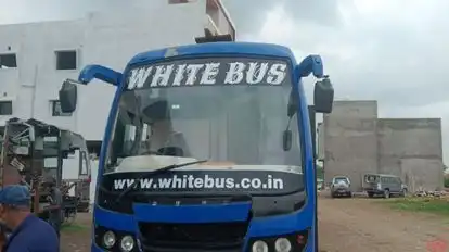 WHITE BUS Bus-Front Image