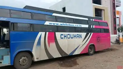 WHITE BUS Bus-Side Image
