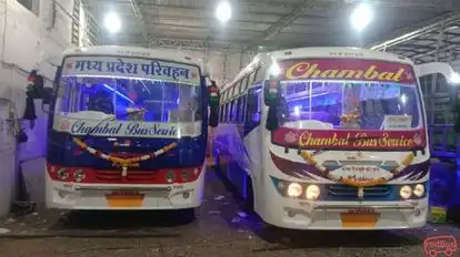 Chambal Travels Bus-Front Image