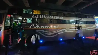 Chambal Travels Bus-Side Image