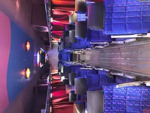 Shree Sahjanand Bus Service Pvt. Ltd Bus-Seats layout Image