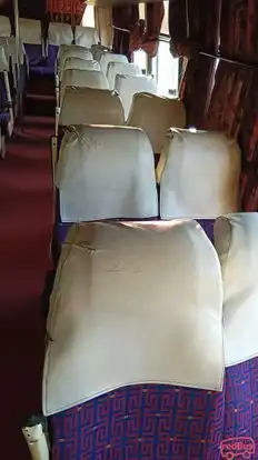 Padmanav Travels Bus-Seats Image