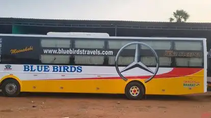 BLUE BIRDS TRAVELS Bus-Side Image