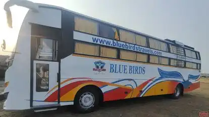 BLUE BIRDS TRAVELS Bus-Side Image
