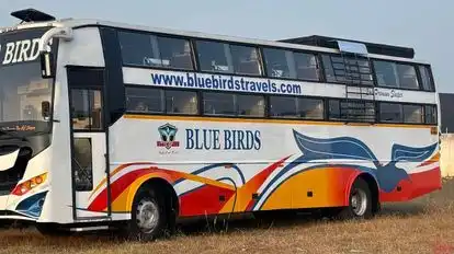 BLUE BIRDS TRAVELS Bus-Side Image