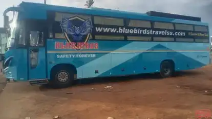 BLUE BIRDS TRAVELS Bus-Side Image