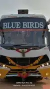 BLUE BIRDS TRAVELS Bus-Front Image