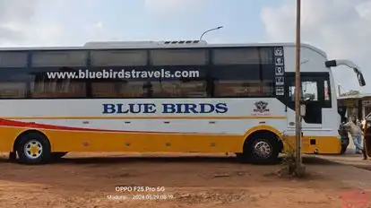 BLUE BIRDS TRAVELS Bus-Side Image