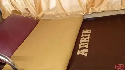 Adrin Travels Bus-Seats Image