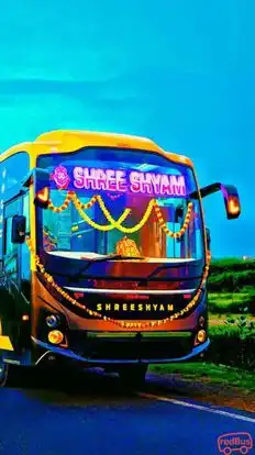 Shree Shyam Bus Bus-Front Image