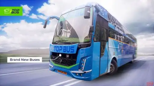 Top Bus Bus-Front Image