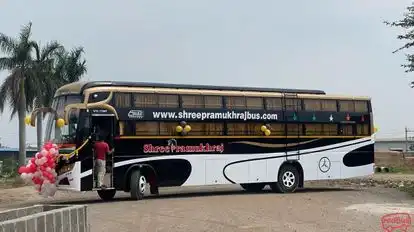 Shree Pramukhraj Travels Bus-Side Image