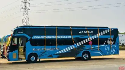 Shree Pramukhraj Travels Bus-Side Image