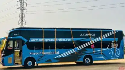 Shree Pramukhraj Travels Bus-Side Image
