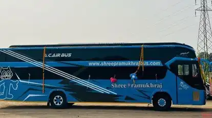 Shree Pramukhraj Travels Bus-Side Image