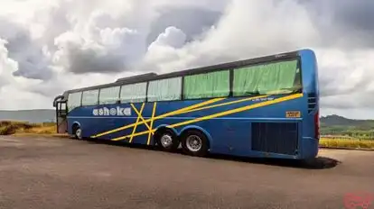 Ashoka Travels Bus-Side Image