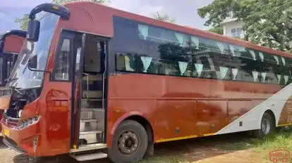 Dream Bus Bus-Side Image