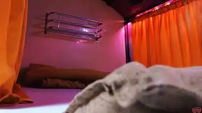 Karwasra Travels Bus-Seats Image