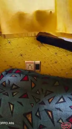 BHOOMIJA TRAVELS Bus-Seats Image