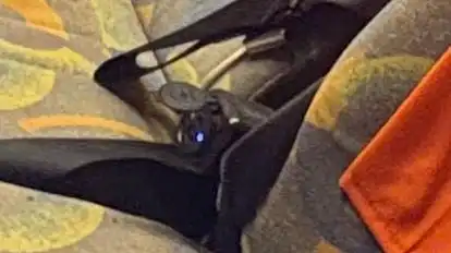 Royal Travels Hills Bus-Amenities Image