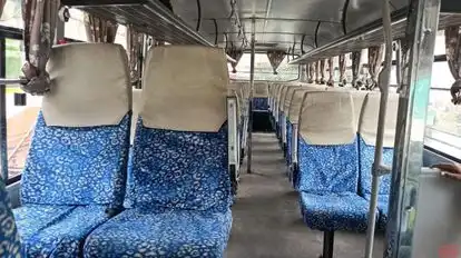 Nagina Travels Bus-Seats Image