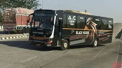Mama Express Bus-Side Image