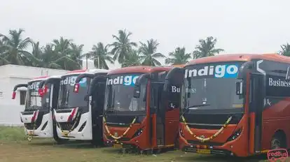 Indigo Travels Bus-Front Image