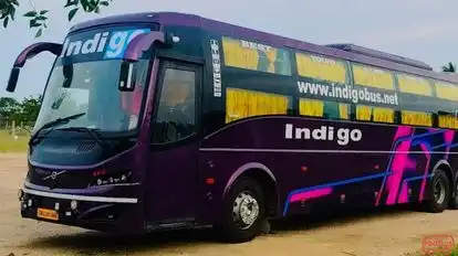 Indigo Travels Bus-Side Image