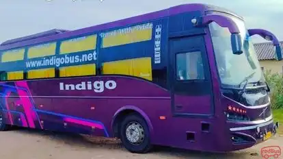 Indigo Travels Bus-Side Image