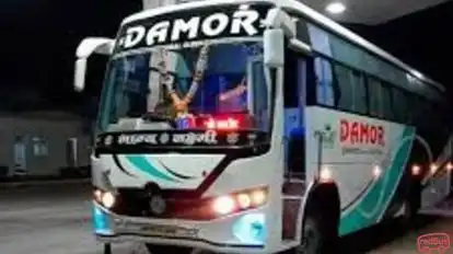 Damor Tours & Travels Bus-Front Image